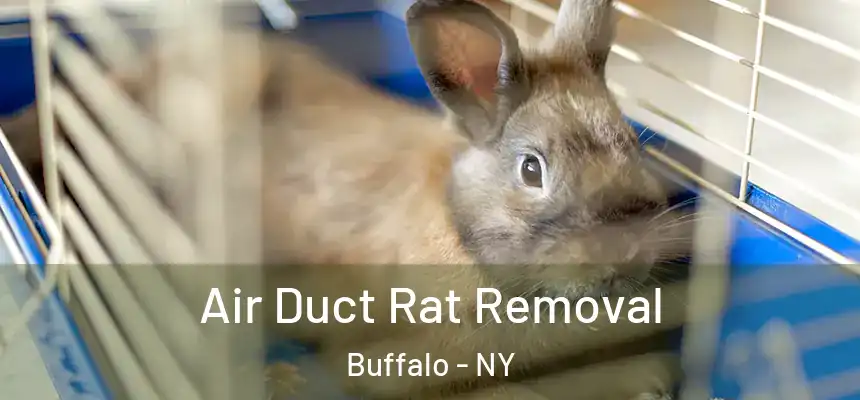 Air Duct Rat Removal Buffalo - NY