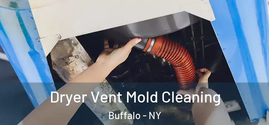 Dryer Vent Mold Cleaning Buffalo - NY