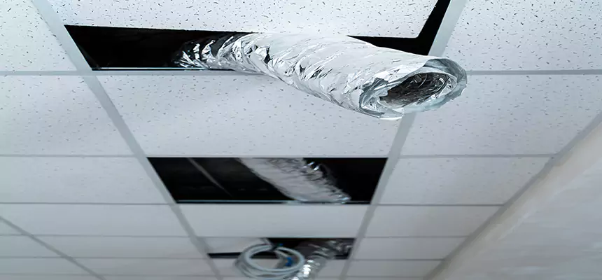 Our Air Duct Pet Hair Removal Services in Buffalo, NY