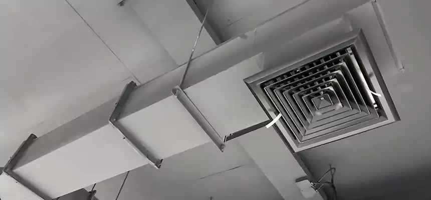 Our Rodent Droppings In Vents Services in Buffalo, NY