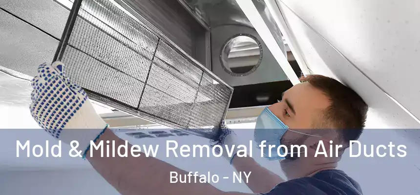 Mold & Mildew Removal from Air Ducts Buffalo - NY
