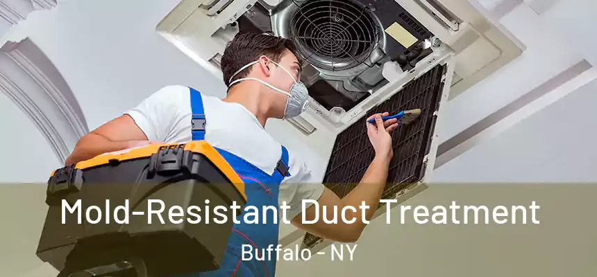 Mold-Resistant Duct Treatment Buffalo - NY
