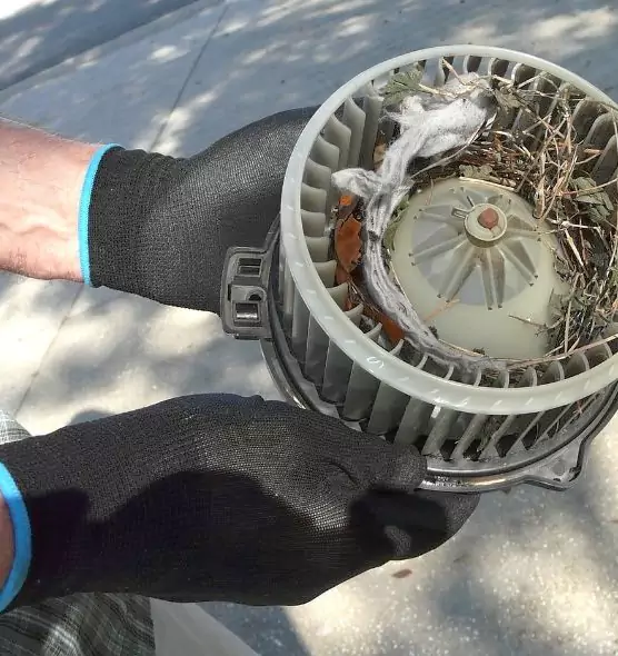 About Air Duct Mice Removal in Buffalo, NY