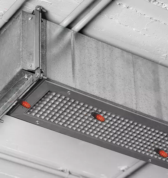 Affordable Insect Removal from Air Ducts in Buffalo, NY