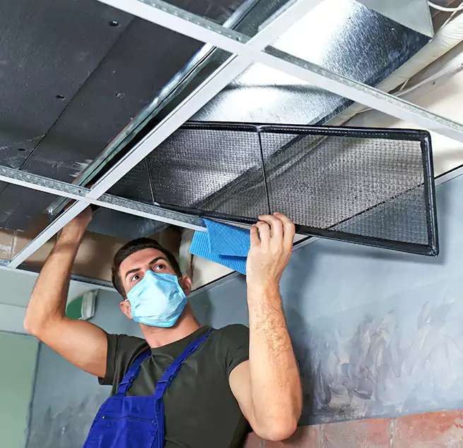 Why Homeowners Businesses Trust Us in Buffalo, NY