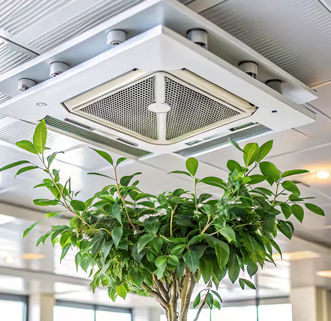 Why Homeowners & Businesses Trust Us in Buffalo, NY?